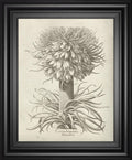 22x26 Fresco Crown Imperial I By Vision Studio - Beige