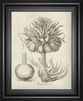22x26 Fresco Crown Imperial II By Vision Studio - Beige