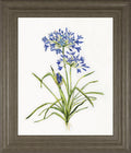 22x26 Lively Botanical I By Sally Swatland - White
