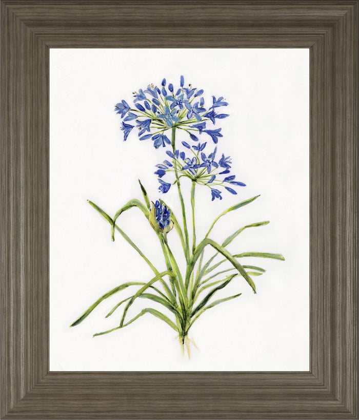 22x26 Lively Botanical I By Sally Swatland - White