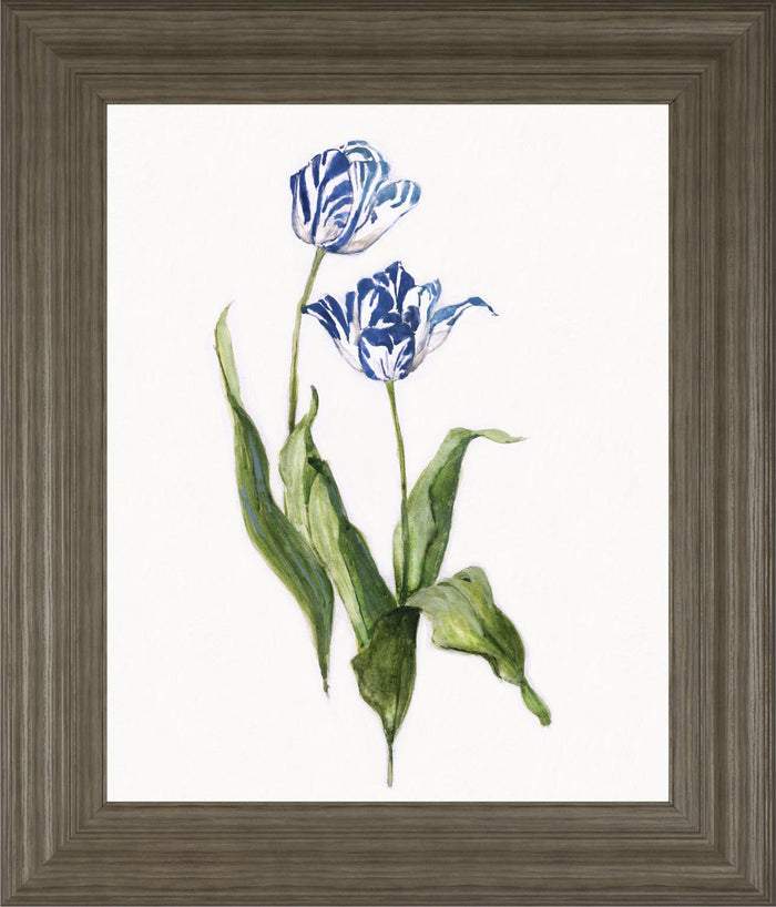 22x26 Lively Botanical II By Sally Swatland - White