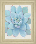 22x26 Pastel Succulent I By Tim OToole - Light Blue