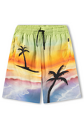 Colorful shorts with palm tree design on a white background