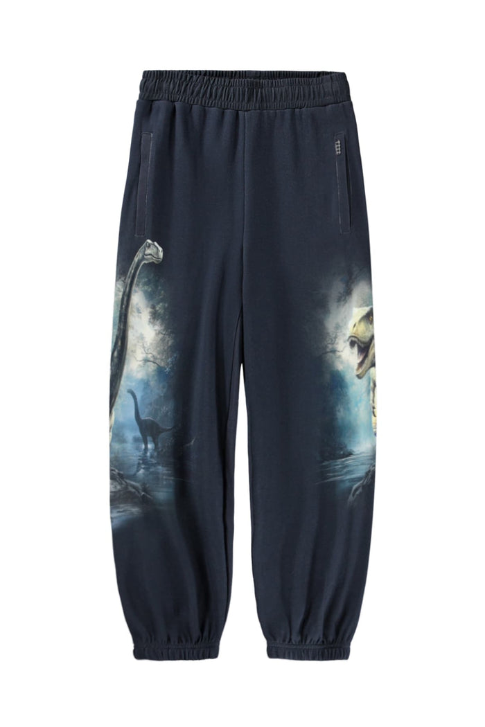 Dark blue jogger pants with dinosaur graphics on a white background