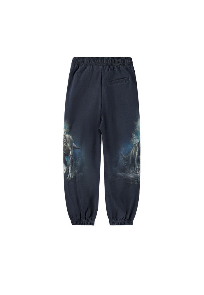 Dark blue pants with a dinosaur graphic on a white background