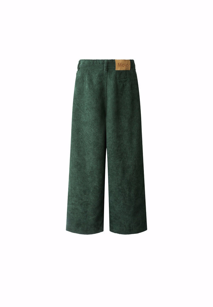Green wide-leg pants on a white background