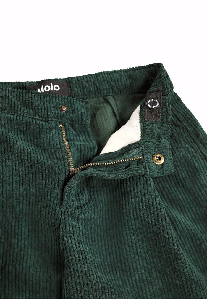 Close-up of green corduroy pants with a brand label on a white background