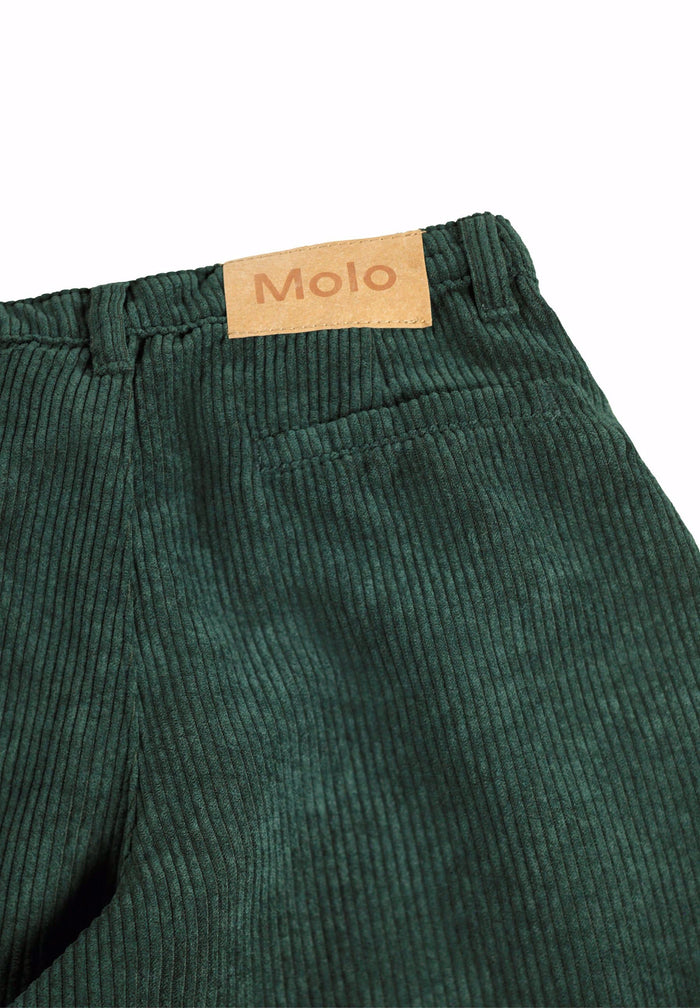 Green corduroy pants with a visible brand label on a white background