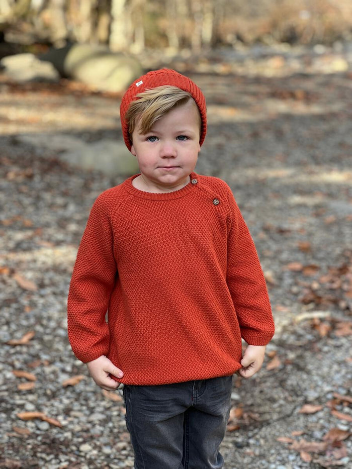 Arcadia Beanie