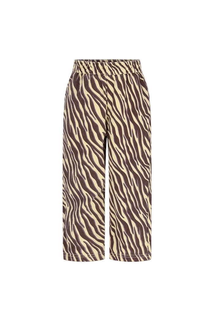 yellow and brown zebra stripe pants on white background