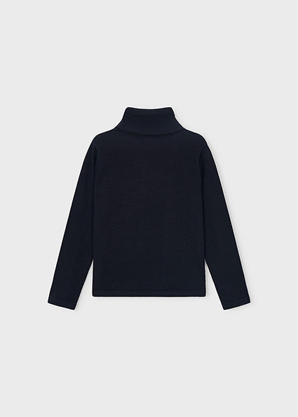 Basic Knit Turtleneck