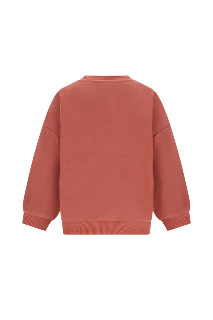 A dusty rose crewneck sweatshirt shown from the back, featuring long sleeves with ribbed cuffs and hem, displayed on a solid white background.