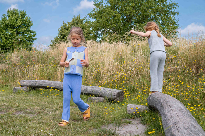 Two children playing on wooden logs in a grassy field with trees and blue sky in the background.