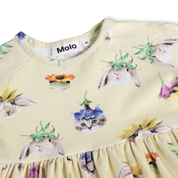 Charmaine Dress - Floral Fun Baby