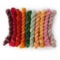 Ten Color Story DK mini skeins in the Garden colorway arranged side by side, featuring warm earth and garden-inspired tones: Milk Chocolate brown, Watermelon red, Campfire orange, Marigold golden yellow, Clover deep green, Fern mint green, Just Peachy peach, Butter pale yellow, Strawberry Cream pink, and Blush