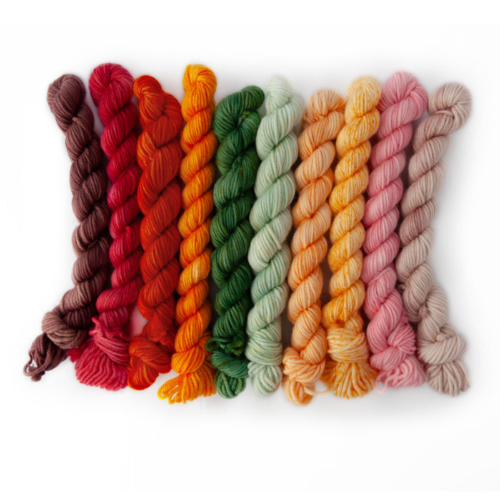 Ten Color Story DK mini skeins in the Garden colorway arranged side by side, featuring warm earth and garden-inspired tones: Milk Chocolate brown, Watermelon red, Campfire orange, Marigold golden yellow, Clover deep green, Fern mint green, Just Peachy peach, Butter pale yellow, Strawberry Cream pink, and Blush