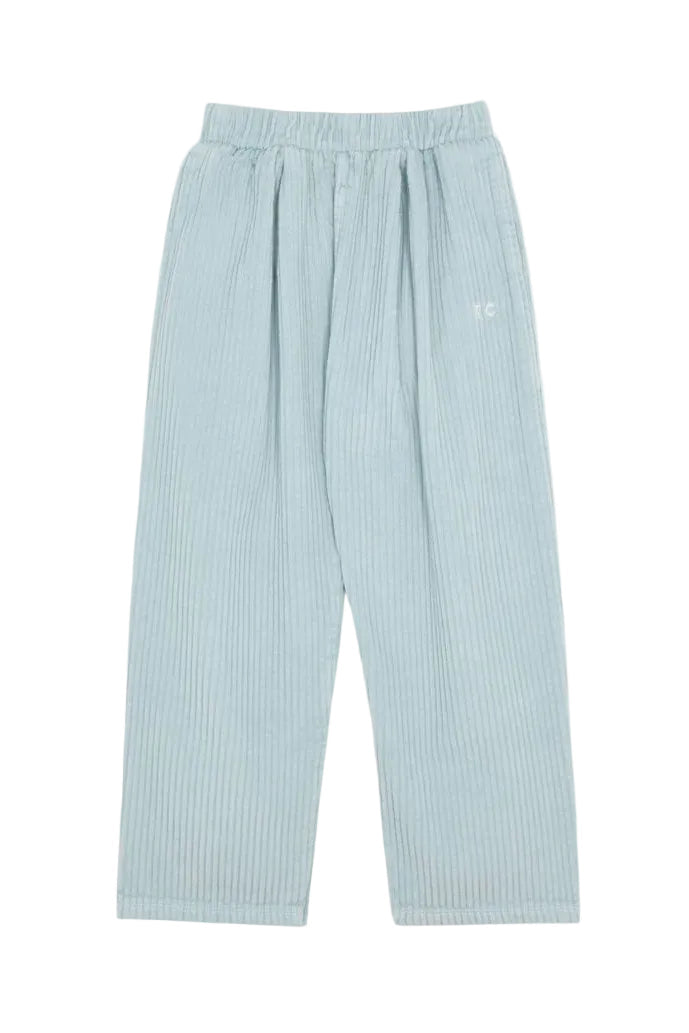 Light blue corduroy pants