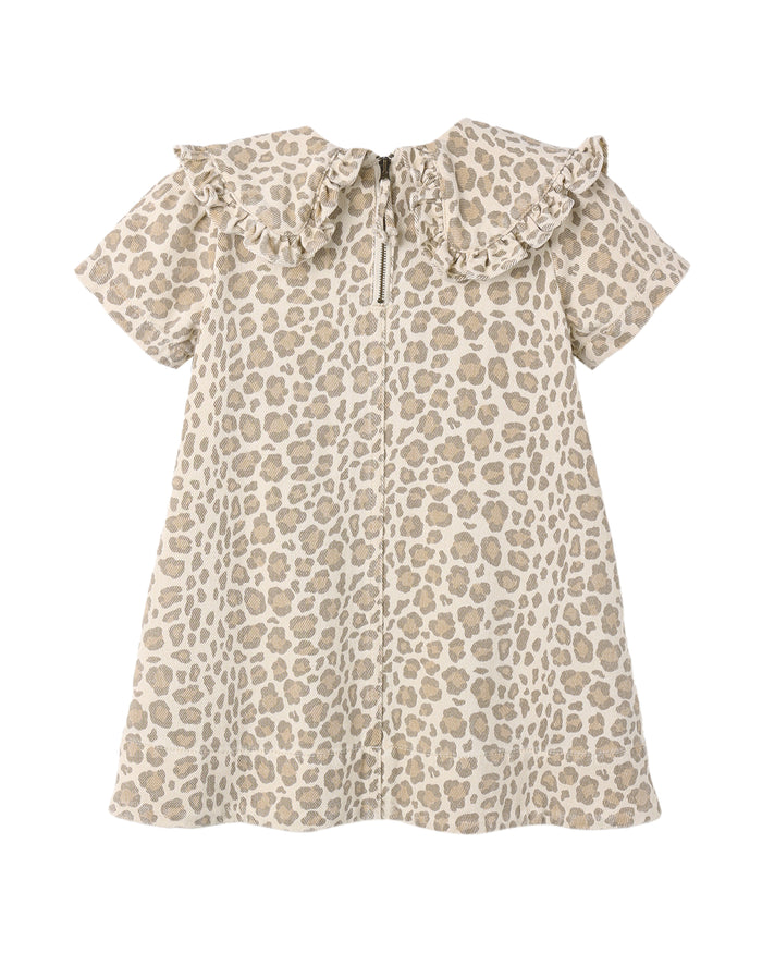 Leopard print dress with ruffled collar on a white background