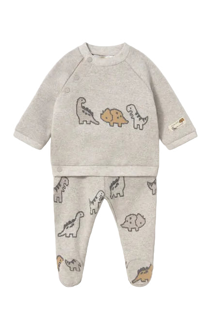 Dinosaur Footed Set