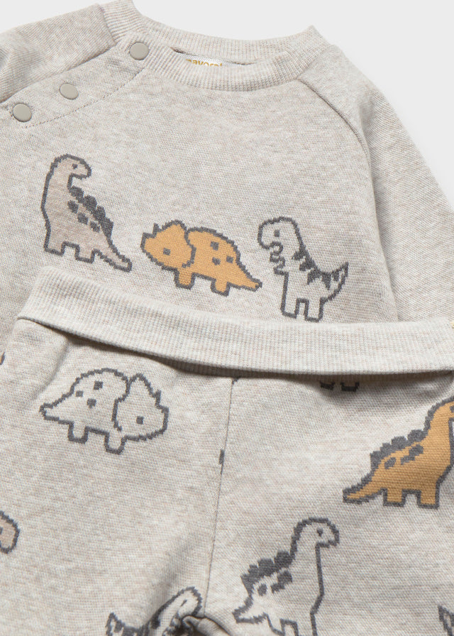 Dinosaur Footed Set