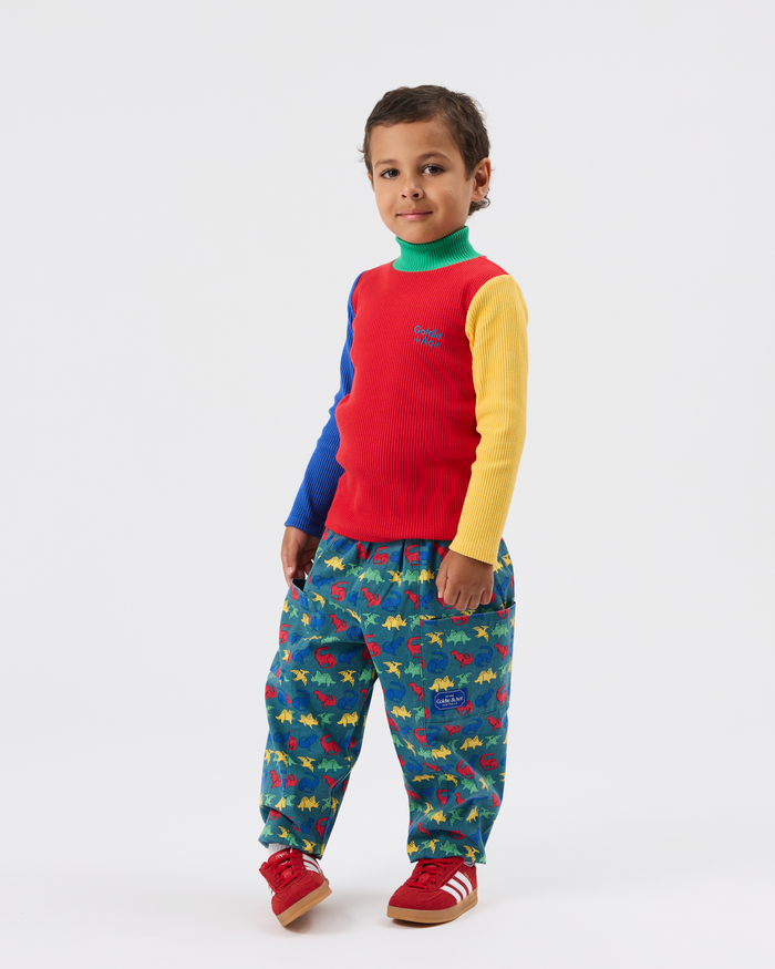 Dinosaur Print Kit Pants