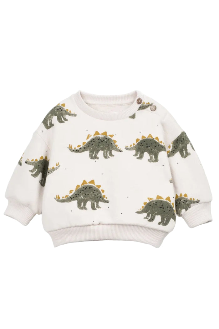 Dinosaur print baby sweatshirt