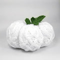 White cable-knit pumpkin with green knitted stem and leaf showing the textured cable stitch pattern from the front