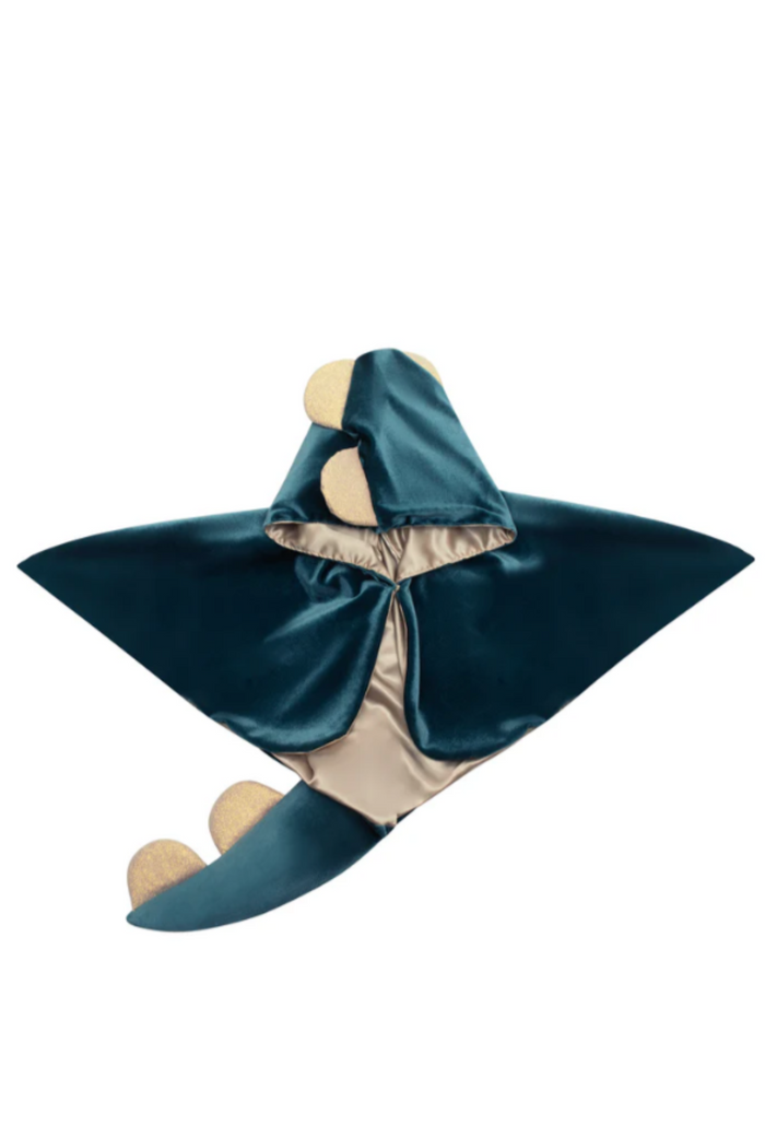 Friendly Dino Cape