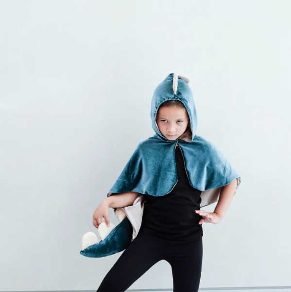 Friendly Dino Cape