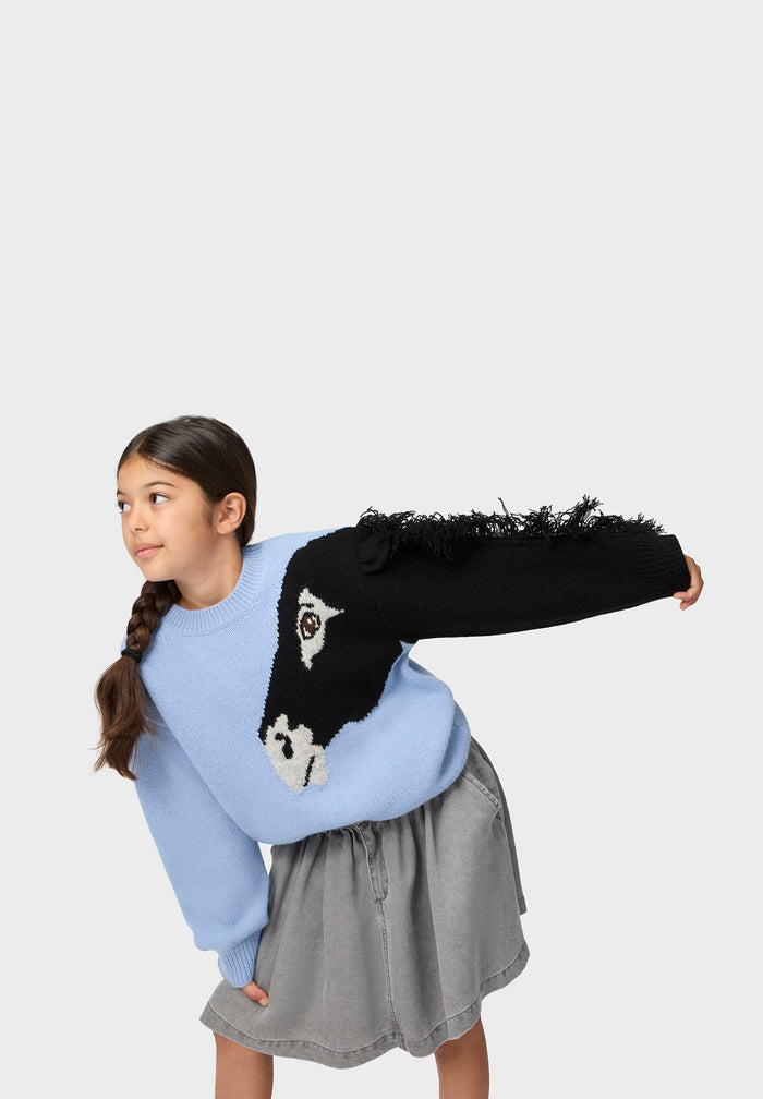 Girl wearing a light blue sweater with a black and white design, gray skirt, and braided hair on a white background