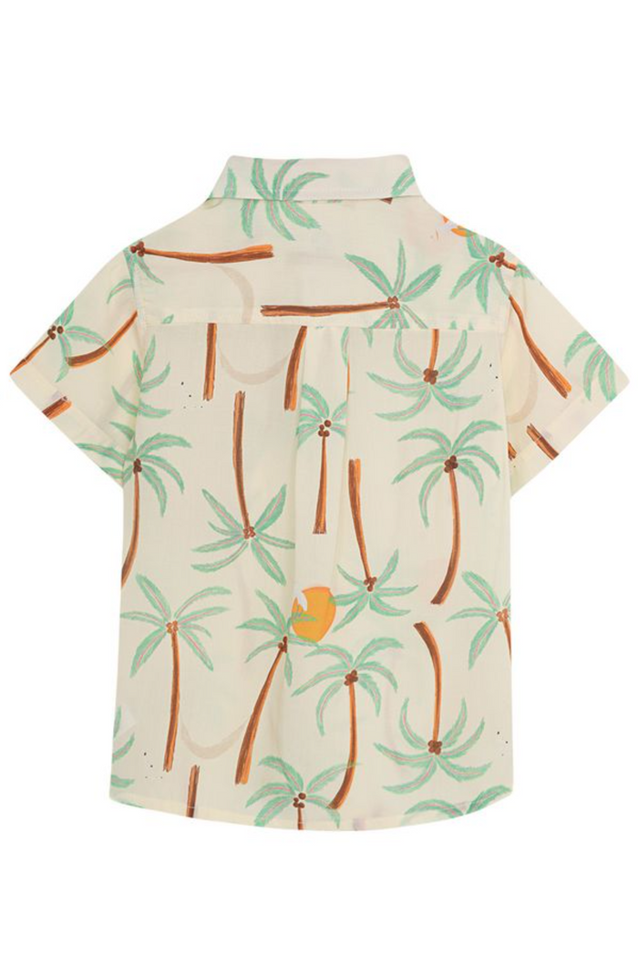 Short-sleeve shirt with palm tree pattern on a white background