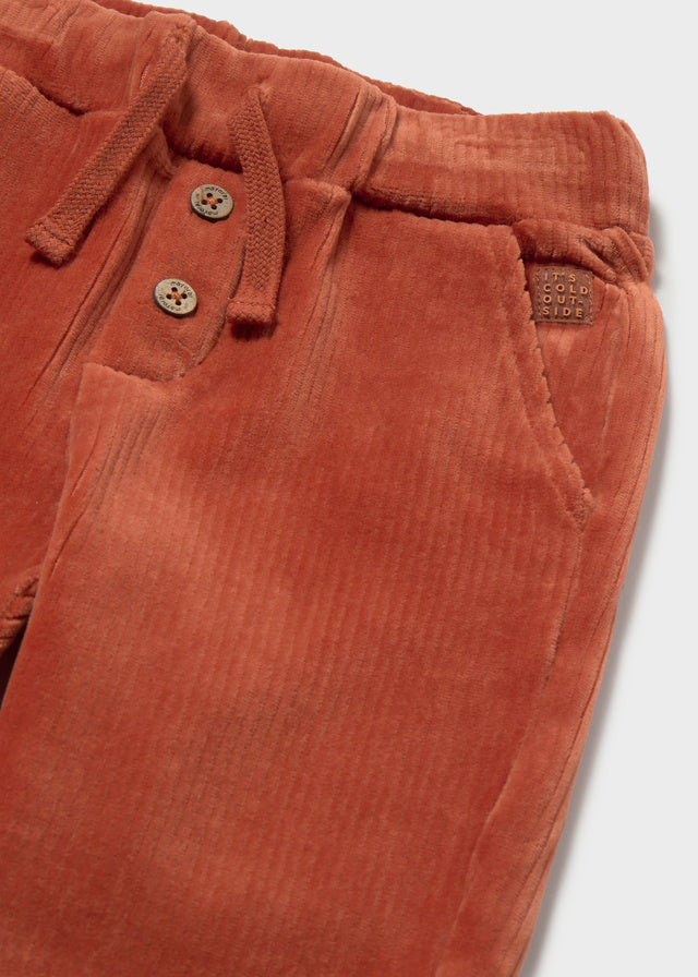 Close-up of brown corduroy pants with buttons on a white background