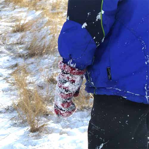 Child in a blue winter jacket playing in the snow wearing a red and brown striped Family Mitten covered in snow
