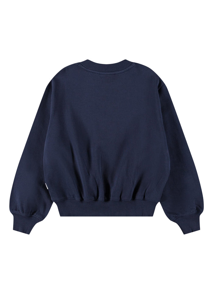 Navy blue sweatshirt on a white background