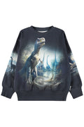 Black sweatshirt with a dinosaur graphic on a white background