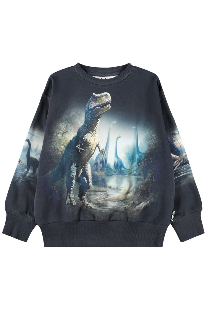 Black sweatshirt with a dinosaur graphic on a white background