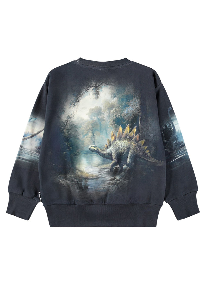 Sweatshirt with a dinosaur graphic on a white background