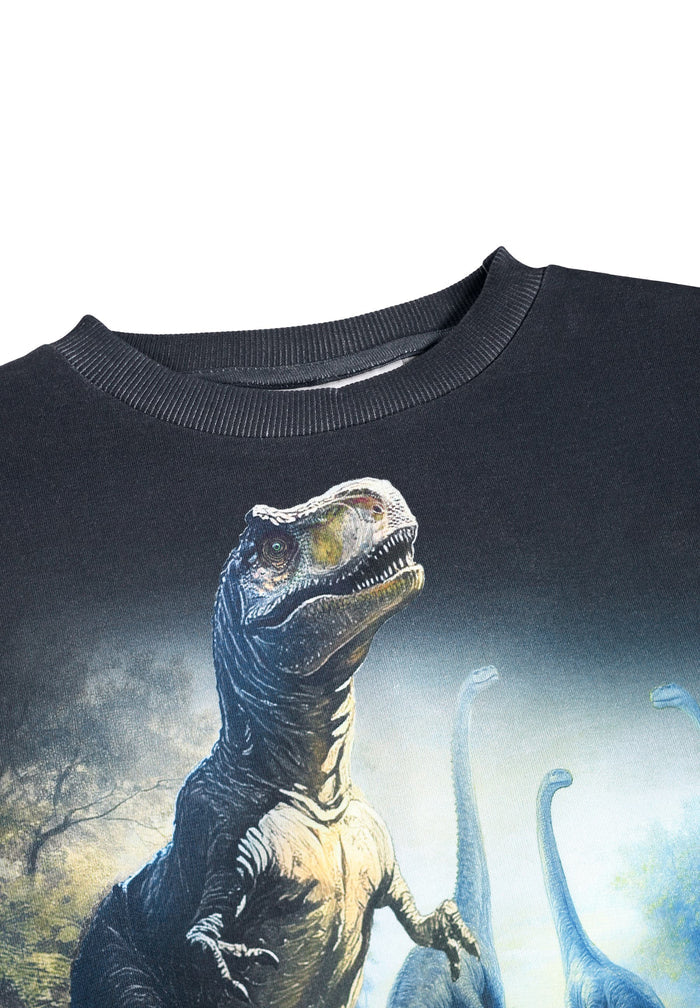 Black sweatshirt with a dinosaur graphic on a white background