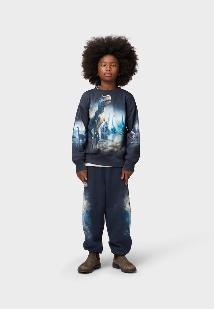 Child wearing a dark blue sweatshirt with a dinosaur graphic on a white background