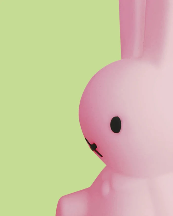 Miffy Colourful Surprise Bundle of Light