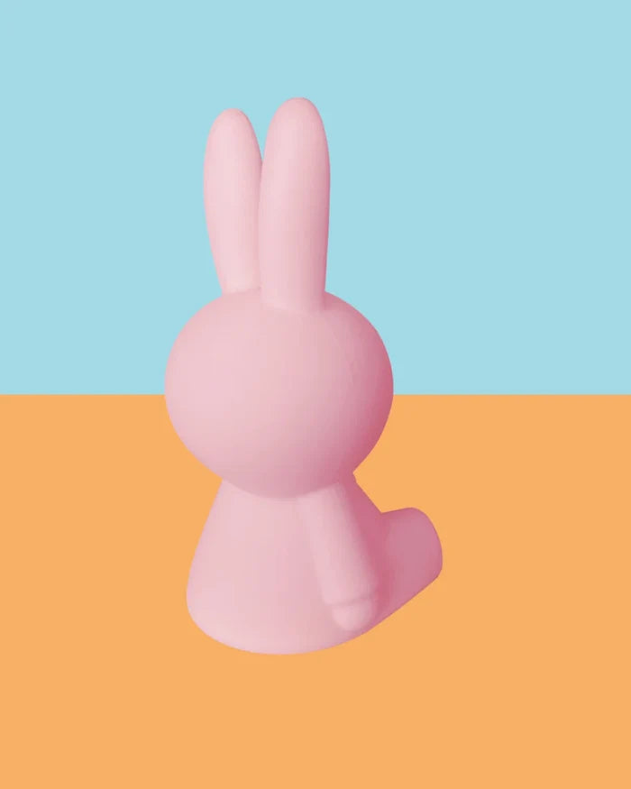 Miffy Colourful Surprise Bundle of Light