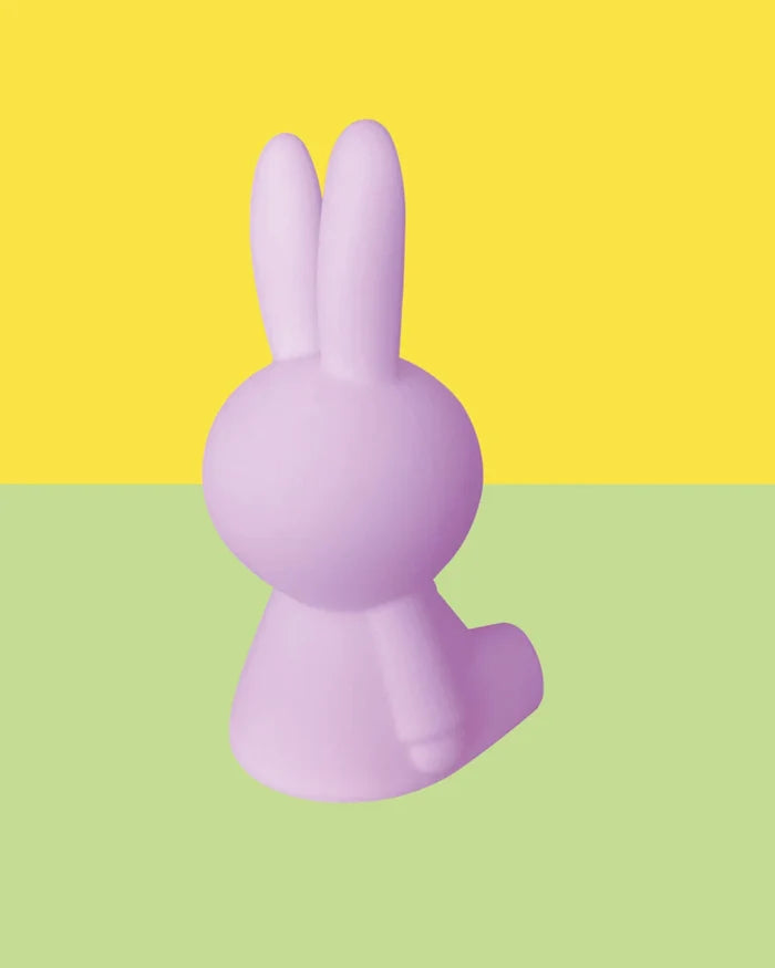 Miffy Colourful Surprise Bundle of Light