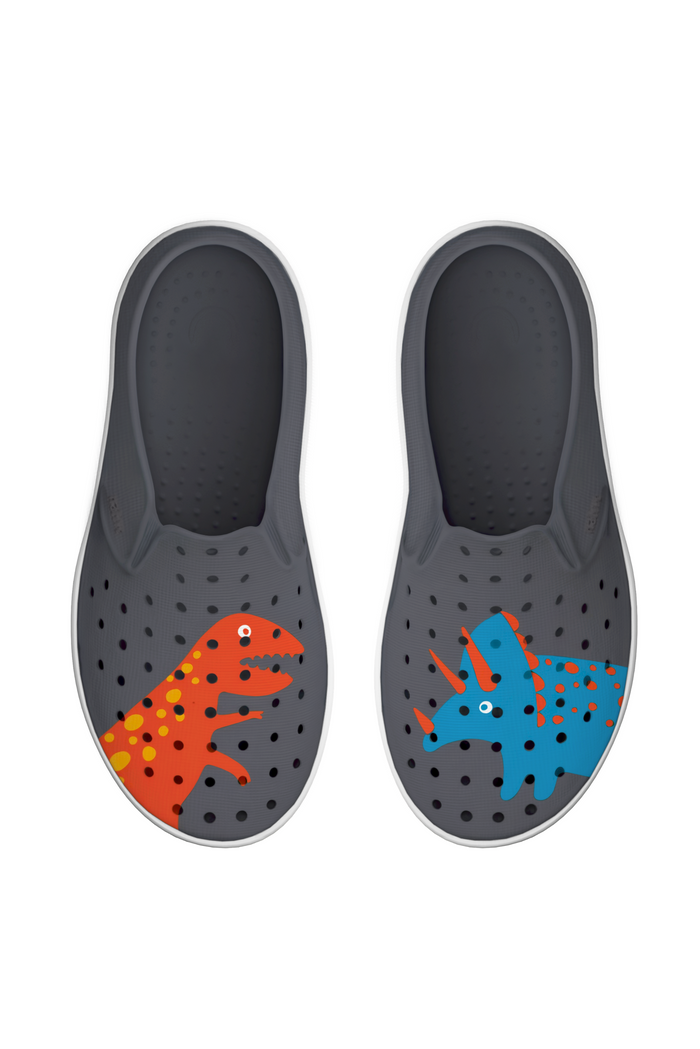 grey sneakers with dinosaur designs on a white background