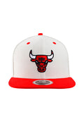 NBA PRODIGIOUS FITTED FLAT CAP
