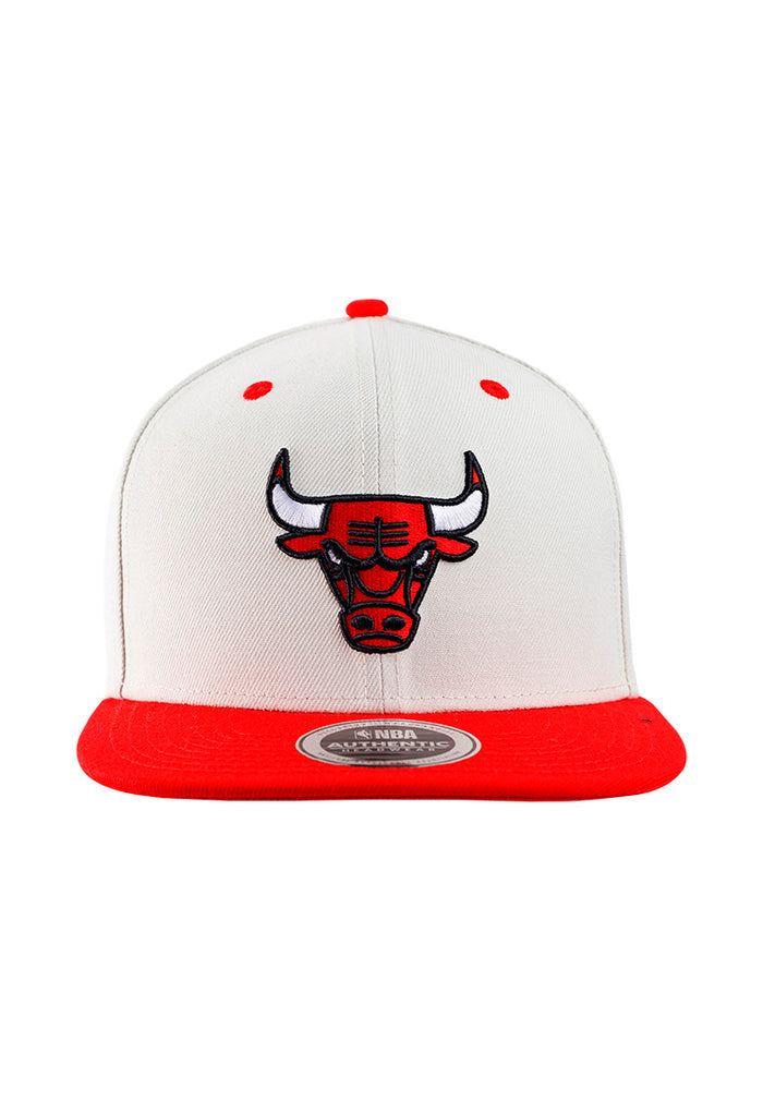 NBA PRODIGIOUS FITTED FLAT CAP