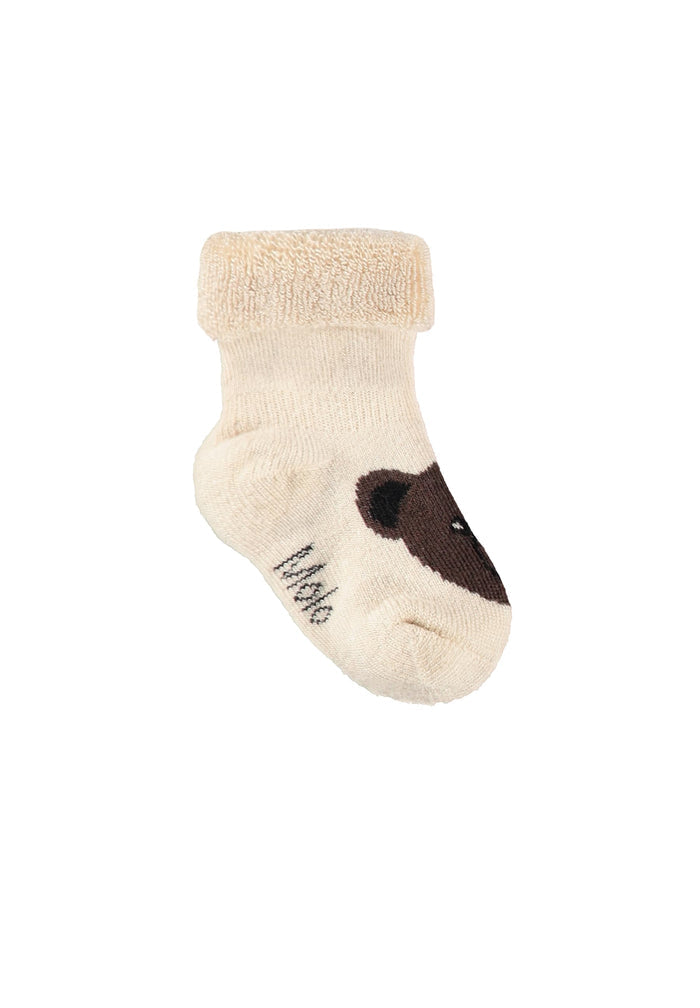 Beige baby sock with brown bear and 'Molo' branding on a white background