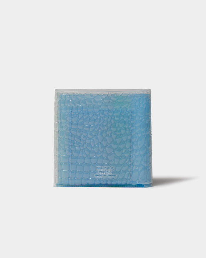nothing to hide apple card wallet
