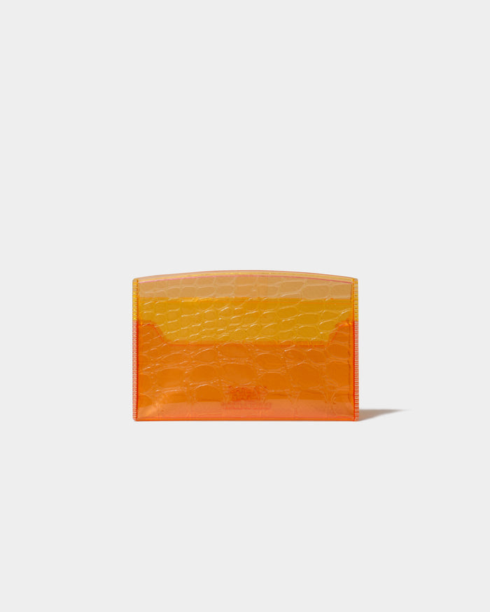 nothing to hide vinyl card case