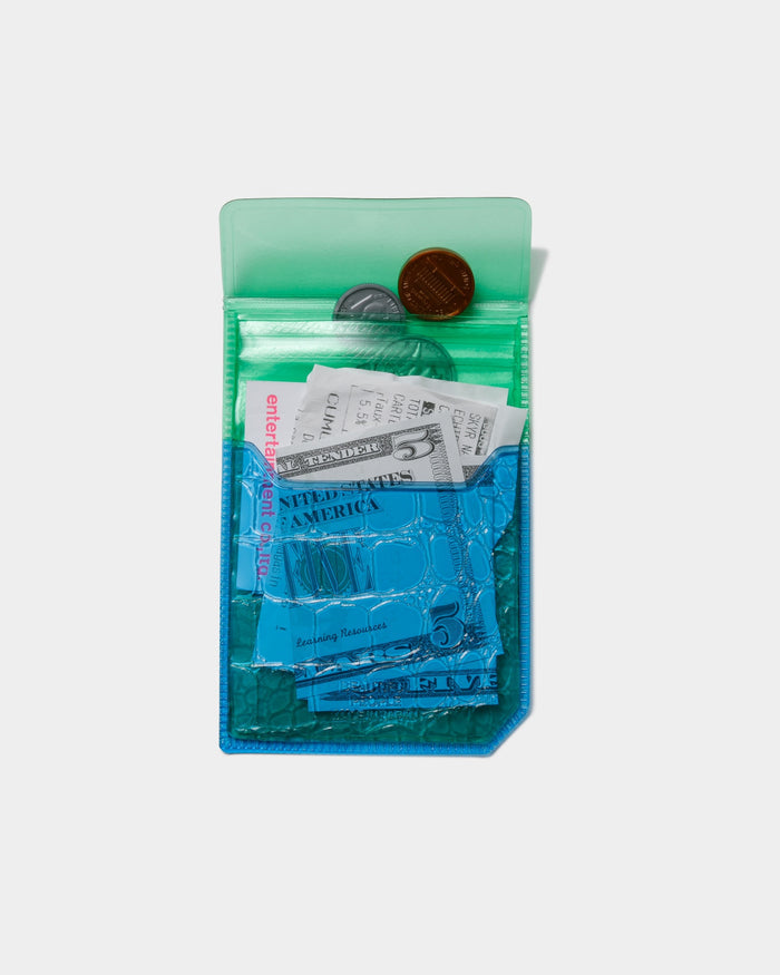 nothing to hide vinyl coin case