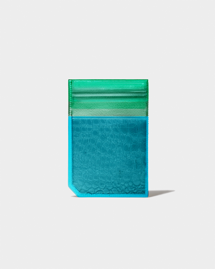 nothing to hide vinyl coin case